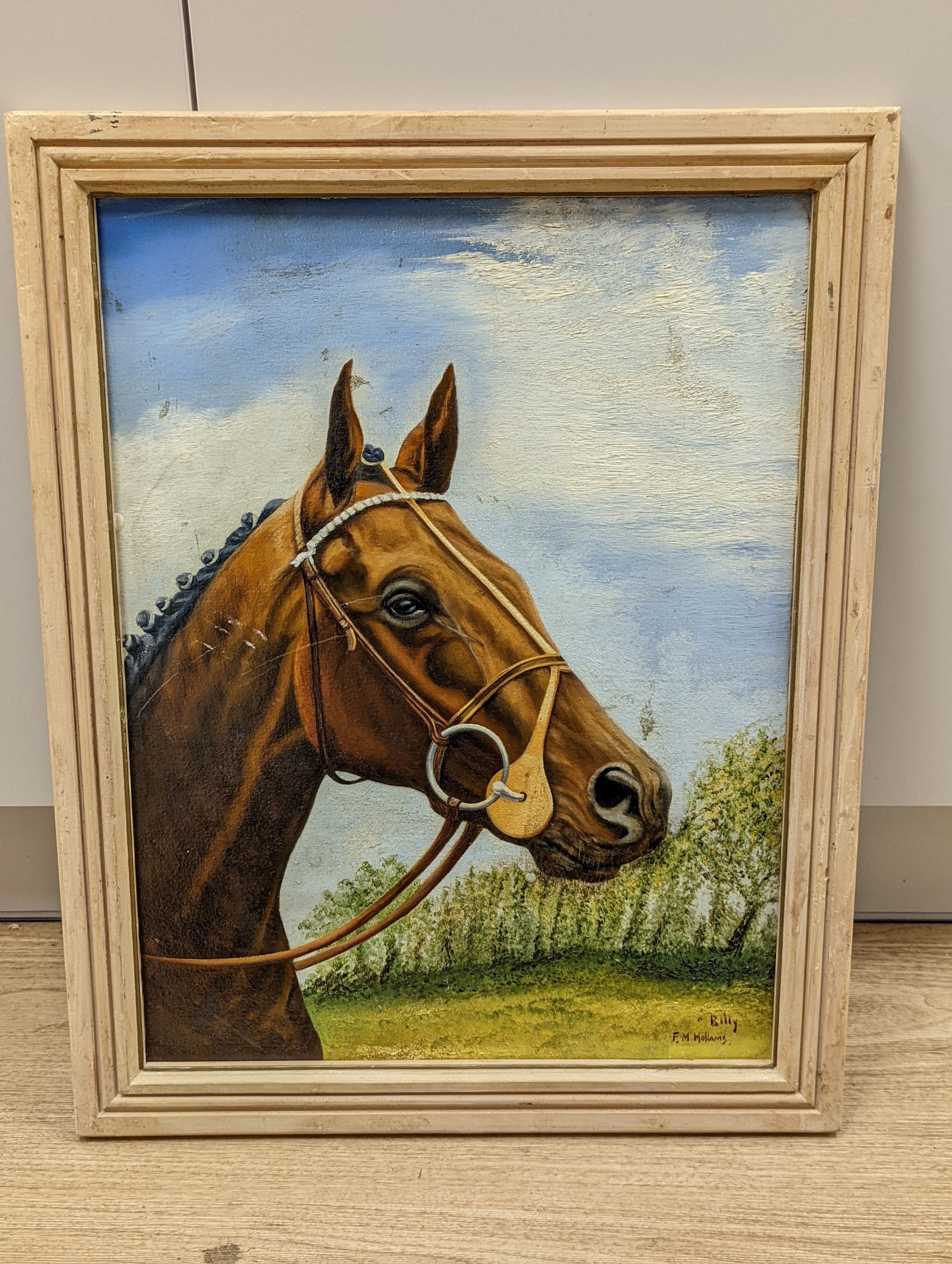 After Mabel Hollams, oil on board, Study of a horse 'Billy', bears signature, 52 x 39cm